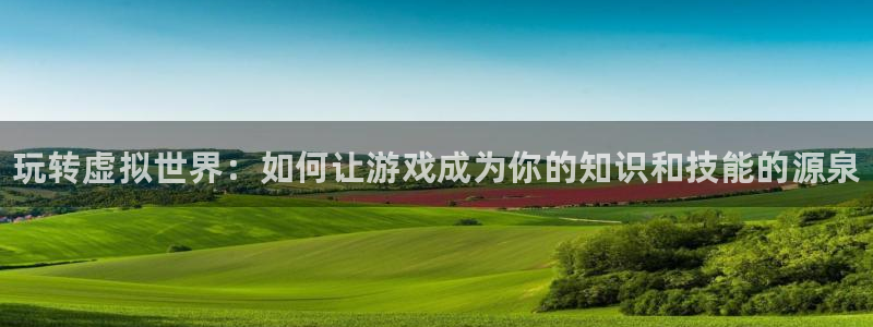 杜邦娱乐测速：玩转虚拟世界：如何让游戏成为你的知识和技能的源