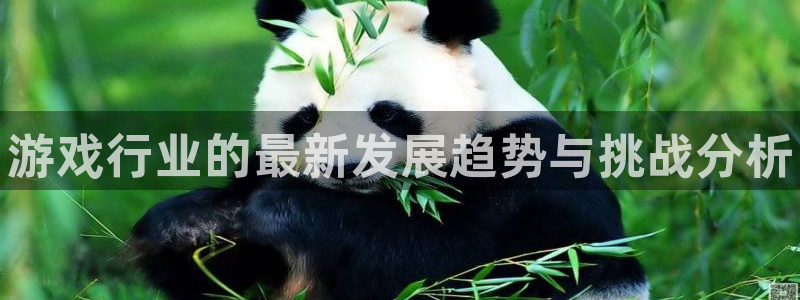 杜邦娱乐平台登陆