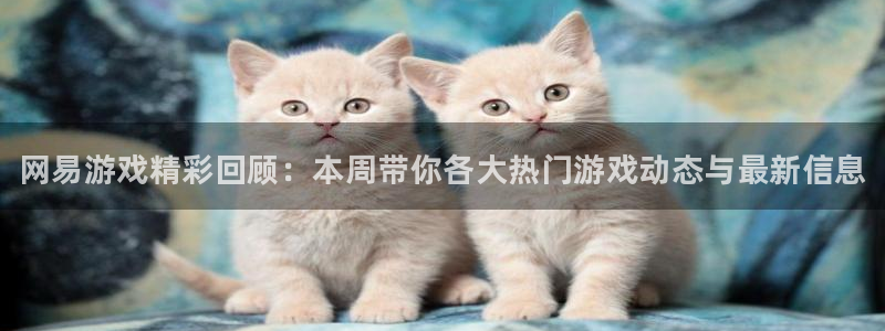杜邦娱乐网页登录入口官网：网易游戏精彩回顾：本周带你各大热门