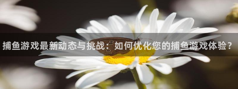 杜邦娱乐开户测速：捕鱼游戏最新动态与挑战：如何优化您的捕鱼游