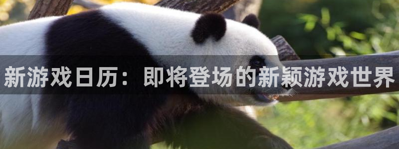 杜邦娱乐升级5994月：新游戏日历：即将登场的新颖游戏世界