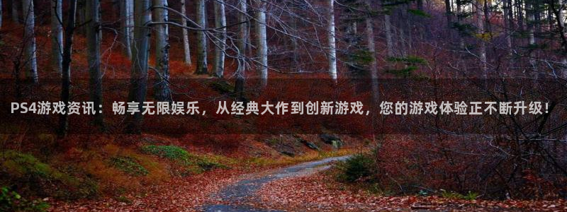 杜邦娱乐登陆地址：PS4游戏资讯：畅享无限娱乐，从经典大作到