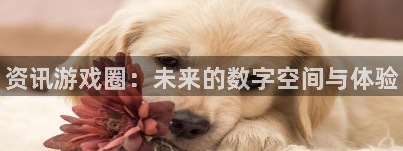 杜邦娱乐代理登陆：资讯游戏圈：未来的数字空间与体验