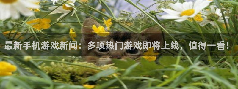 杜邦娱乐平台登录线路：最新手机游戏新闻：多项热门游戏即将上线