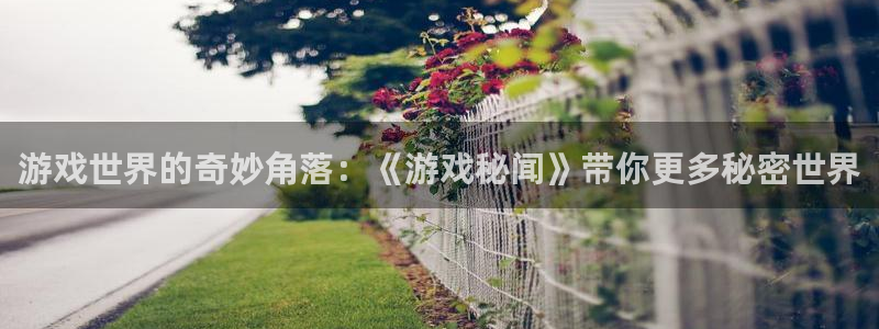 杜邦娱乐娱乐：游戏世界的奇妙角落：《游戏秘闻》带你更多秘密世