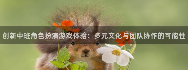 杜邦娱乐下载：创新中班角色扮演游戏体验：多元文化与团队协作的