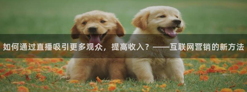 9255tv直播无插件nba：如何通过直播吸引更多观众，提高收入？——互联网营销的新方法