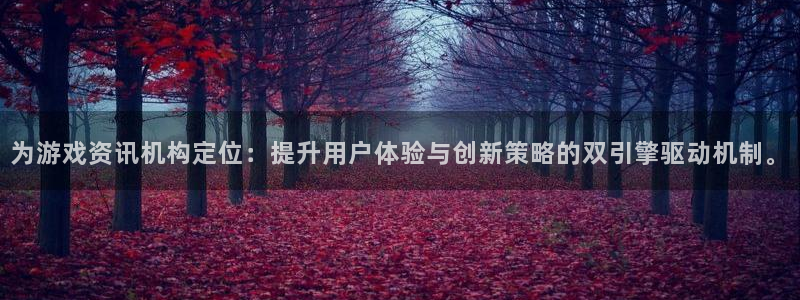 杜邦娱乐平台注册：为游戏资讯机构定位：提升用户体验与创新策略