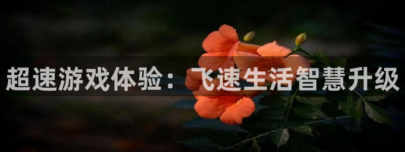 杜邦娱乐是什么：超速游戏体验：飞速生活智慧升级