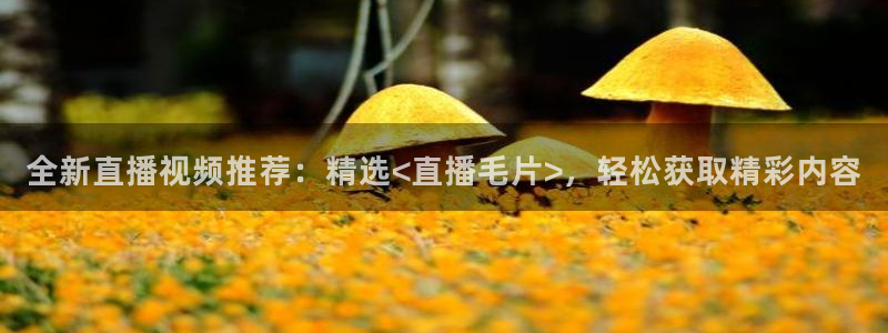 9255tv直播nba在线观看：全新直播视频推荐：精选<直播毛片>，轻松获取精彩内容
